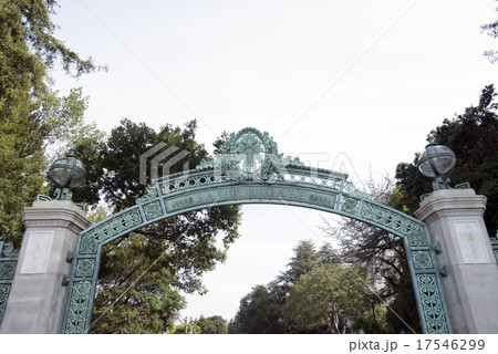 アメリカ　カリフォルニア　カリフォルニア州立大学 17546299