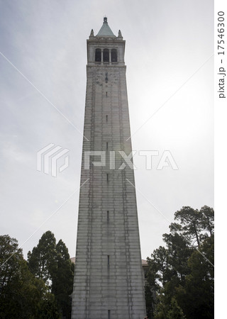 アメリカ　カリフォルニア　カリフォルニア州立大学 17546300