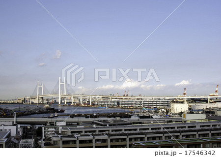 港の見える丘公園から見える風景（3） 17546342