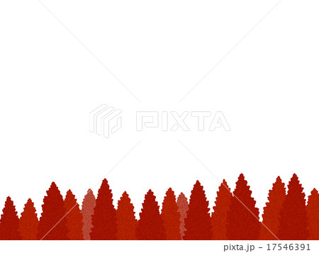 紅葉のメタセコイア 17546391