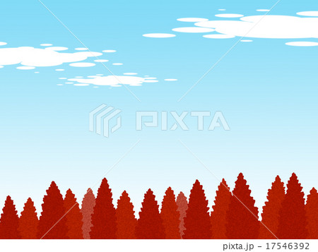 紅葉のメタセコイア 17546392