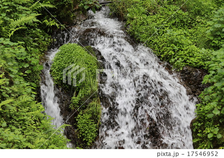 高麗川源流 高麗川源流 17546952