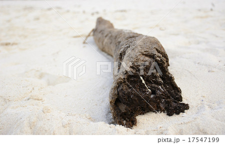 Timber on a white sandy beach 17547199