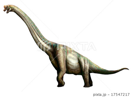 竜塔 竜塔 17547217