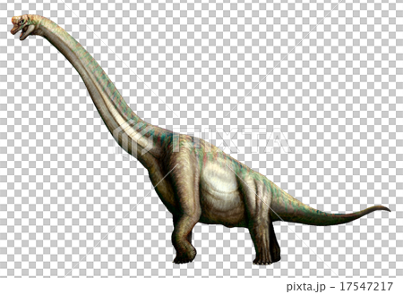 竜塔 竜塔 17547217