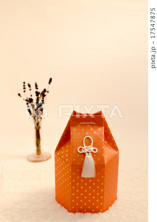 愛犬の遺骨 愛犬の遺骨 17547875