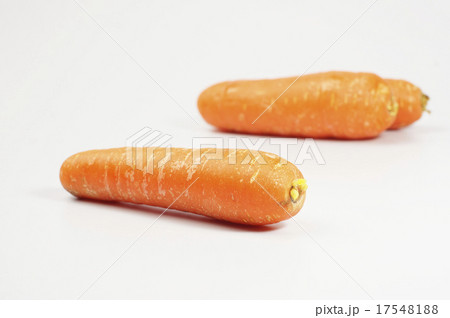 Fresh Carrots 17548188