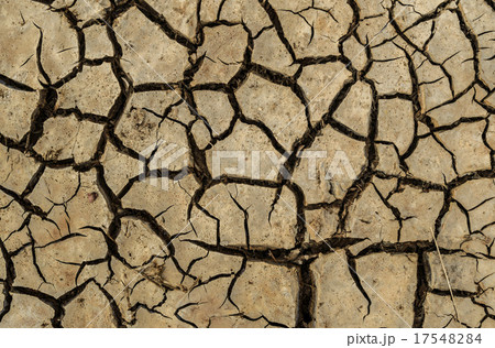 Dry cracks in dried out soil Dry cracks in dried out soil 17548284