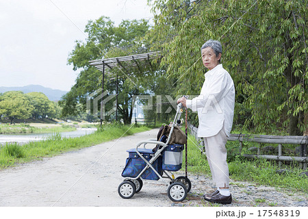 シルバーカーで散歩する80歳のおばあちゃんの写真素材