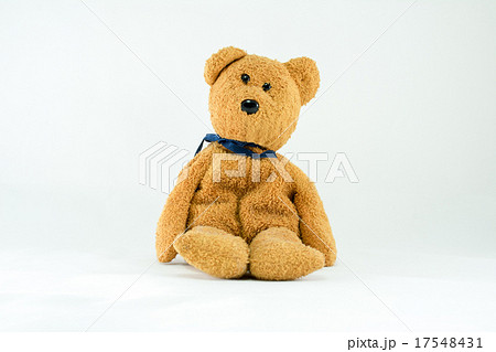 Brown teddy bear isolated on white Brown teddy bear isolated on white 17548431