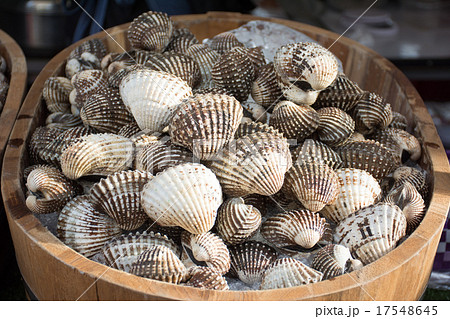 Super big cockle in Cooper 17548645