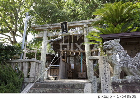内原王子神社の鳥居と拝殿 内原王子神社の鳥居と拝殿 17548809