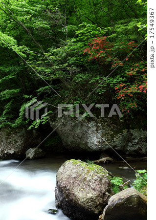 夏の葛丸渓流 夏の葛丸渓流 17549367
