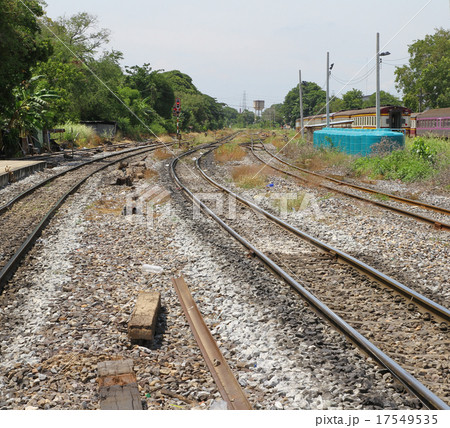 close up orange dragonfly on tree in garden 17549535