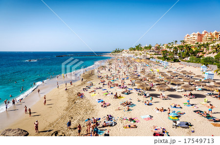 El Duque beach 17549713