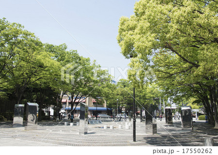 新緑の横浜/横浜開港広場 17550262