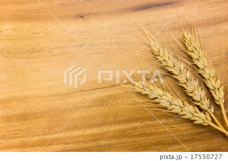 板の上の麦穂 17550727