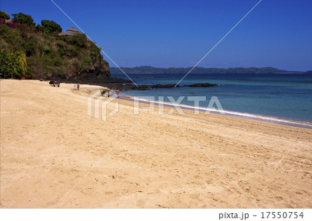 people palm  rock stone branch hill 17550754