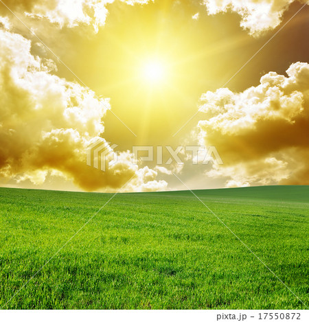 Beautiful sunset on green field 17550872
