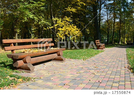 Wooden bench in the autumn park 17550874