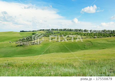 Mountainous terrain 17550879