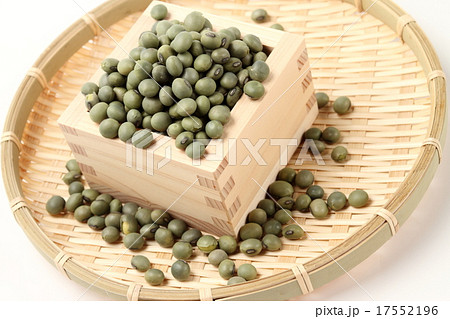 青大豆 17552196
