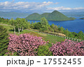 洞爺湖 17552455