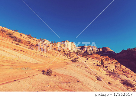 Zion Zion 17552617