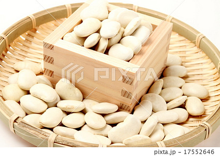 白豆 17552646