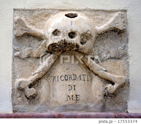 skull and crossbones and crossbones 17553374