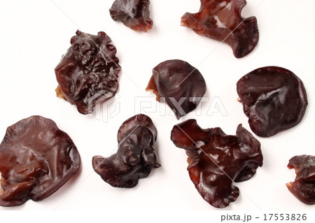 きくらげ 17553826