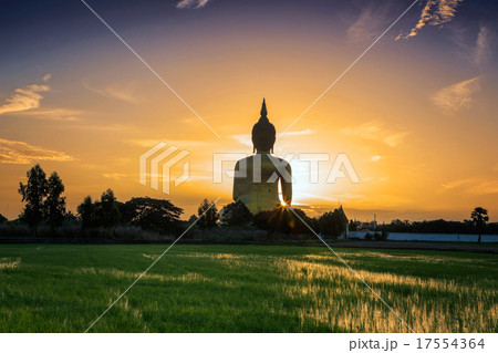 Big Golden Buddha at Wat Muang 17554364