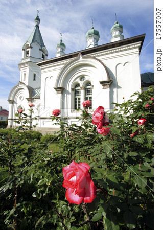 函館ハリストス正協会とバラの花、 函館ハリストス正協会とバラの花、 17557007