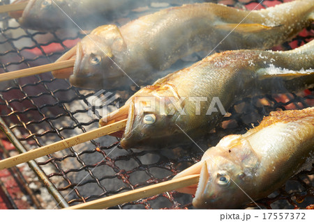 鮎の串焼き 17557372