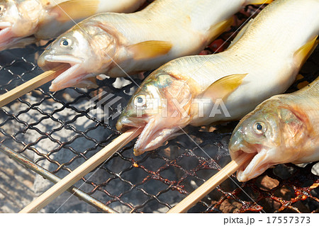 鮎の串焼き 鮎の串焼き 17557373