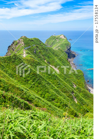 神威岬・積丹・北海道 17558134