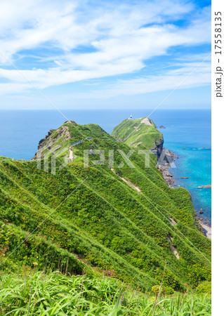 神威岬・積丹・北海道 神威岬・積丹・北海道 17558135