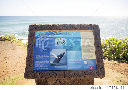 WHALES AND DOLPHINSのサインボード、カウアイ島、ハワイ 17558141