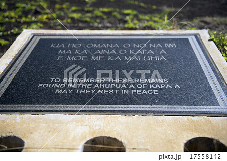 AFUPUA'A OF KAPAA ヘイアウ-1 AFUPUA'A OF KAPAA ヘイアウ-1 17558142