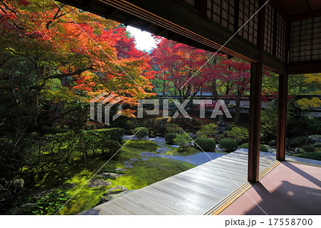 泉涌寺 御座所庭園の紅葉 泉涌寺 御座所庭園の紅葉 17558700