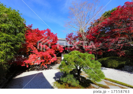 南禅寺天授庵の紅葉 南禅寺天授庵の紅葉 17558763