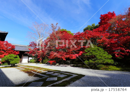 南禅寺天授庵の紅葉 南禅寺天授庵の紅葉 17558764