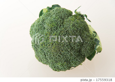 ブロッコリー 17559318