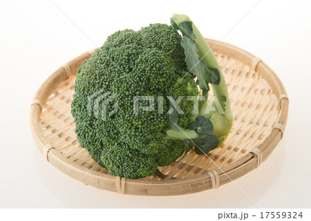 ブロッコリー ブロッコリー 17559324