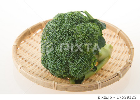 ブロッコリー ブロッコリー 17559325