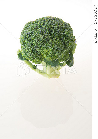 ブロッコリー 17559327