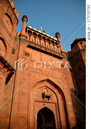 ラール・キラー 17559792