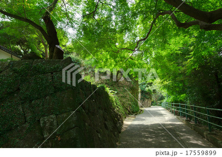 八栗寺、裏参道(四国八十八箇所第85番礼所) 17559899
