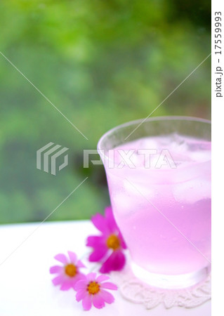 ピンクの飲み物 17559993