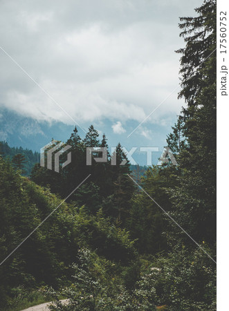 Austrian Alps Austrian Alps 17560752